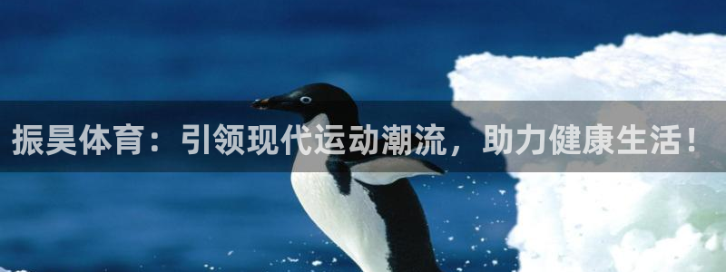 球客岛：振昊体育：引领现代运动潮流，助力健康生活！