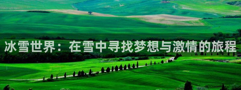 球客岛：冰雪世界：在雪中寻找梦想与激情的旅程