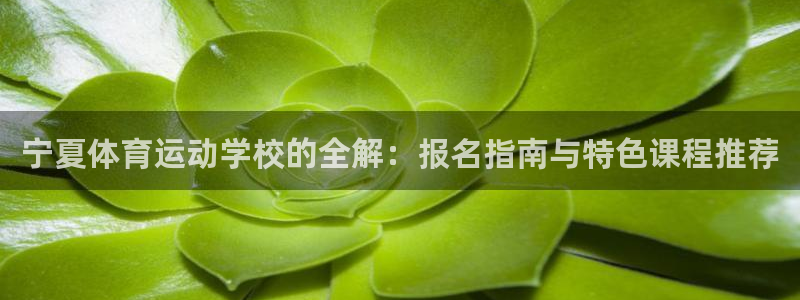 球客岛：宁夏体育运动学校的全解：报名指南与特色课程推荐
