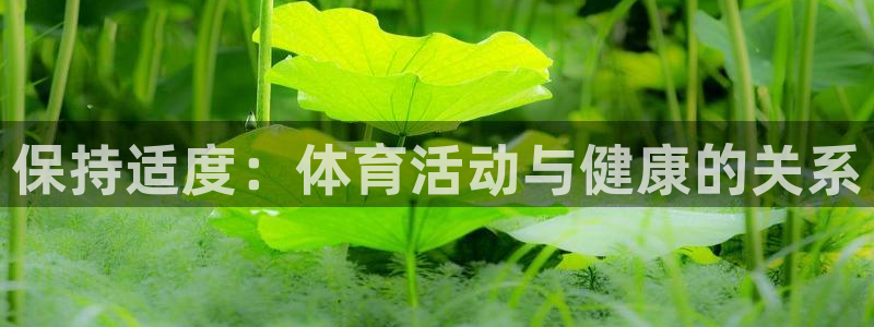 球客岛