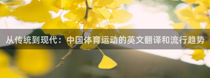 球客岛
