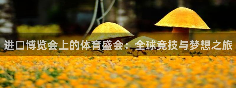 球客岛